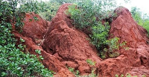 Erra Matti Dibbalu, also called as Red Sand Hills, a notified National Geo-heritage Monument, is situated at the outskirts of Visakhapatnam City.