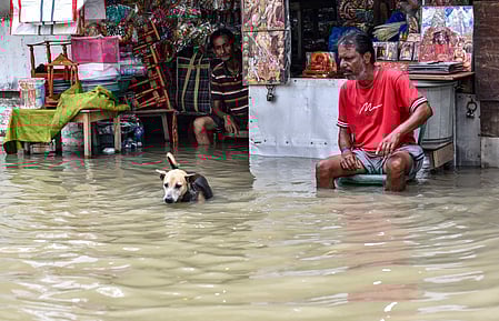 No respite in sight for Kolkata after cloudburst as Met office warns of more rains in next few days.