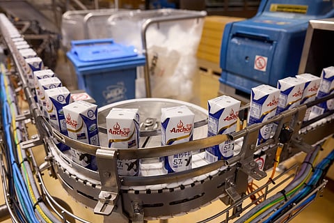 Milk Production at Fonterra Cooperative Facility