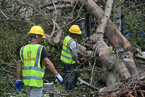Workers cut and remove a fallen tree following the passage of Super Typhoon Ragasa in Yangjiang, southern China’s Guangdong province on September 25, 2025.