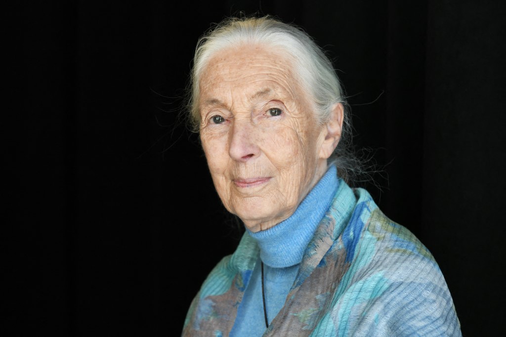 APRIL 23 Dr. Jane Goodall attends the TIME 100 Summit 2019 on April 23, 2019 in New York City.