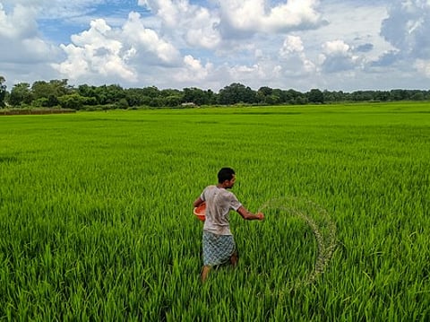 From UAE to Bangladesh: How AI weather forecasts boost farming