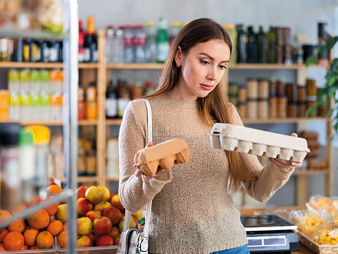 Local farms contribute towards UAE food security goals