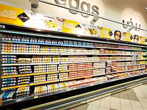 Al Ghurair Foods Poultry Farm: Ensuring fresh, nutritious eggs every day