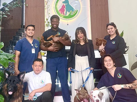 Fancy & Furry Pets Care launches exciting boarding offer for cats and dogs in Dubai