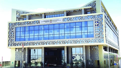 UAE to launch unified digital platform to streamline Emirati employment in private sector