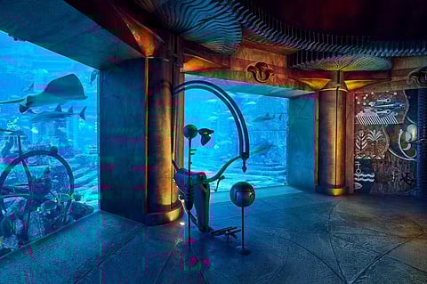 The new aquarium now houses 430 new marine animals across 35 newly introduced species.