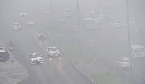 UAE weather alert: Fog blankets Abu Dhabi roads, rain expected in these regions