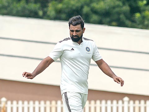 Selectors, team management should