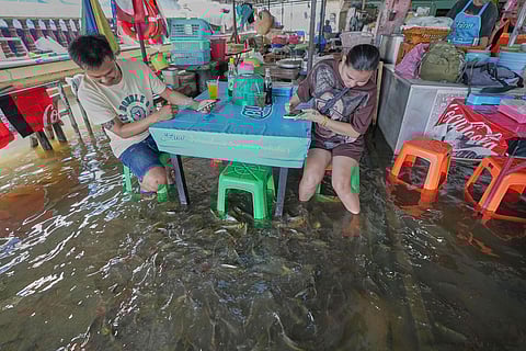 Diners at the Pa Jit restaurant watch fish swim in the aisles due to flooding from the Tha Chin River in Thailand's Nakhon Pathom Province west of Bangkok, Thailand, Friday, Nov. 14, 2025.