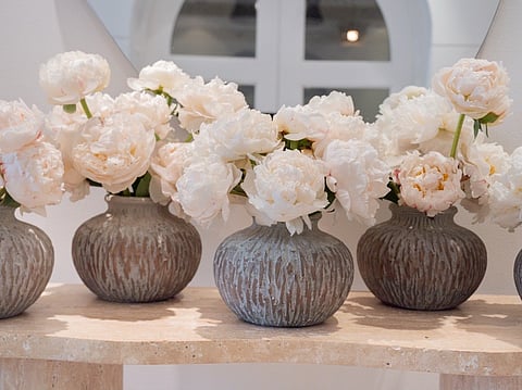 Darcey Flowers marks four years of Joy Beyond Flowers with the Launch of The Comeback Collection