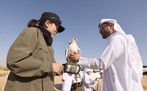 Third edition of the UAE–Japan Falconry Programme focuses on heritage, sustainability and youth training.