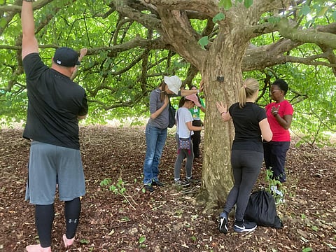 Forest bathing is science-based, accessible, therapy for everyone to curb screen fatigue and practice mindfulness.