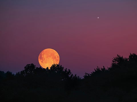 January 2026: Embrace the quiet power of inner alignment