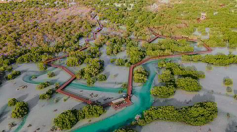 Abu Dhabi: Major marine initiative after hitting 100% sustainable fishing target