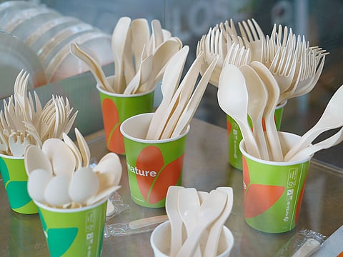 Technological progress has played a critical role in strengthening investor confidence in bioplastics.