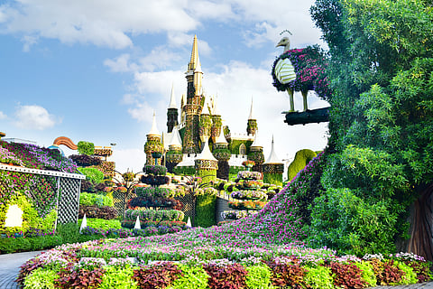 Limited-time offer runs until May 31 for families and school trips.