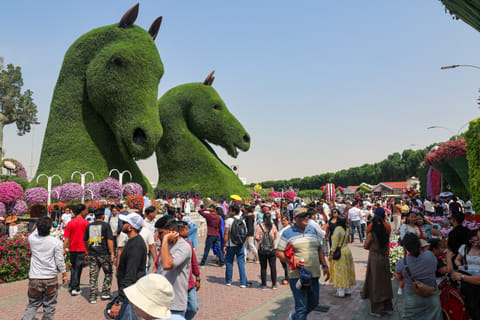 Dubai Miracle Garden to offer free entry for families on weekdays