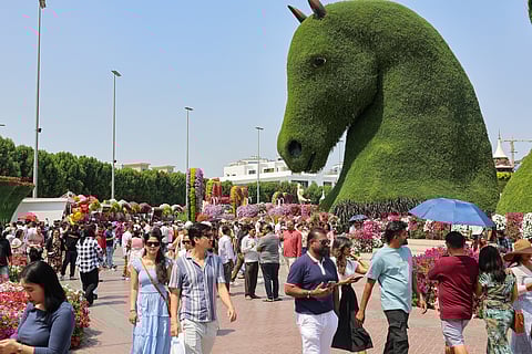 UAE residents throng the Dubai Miracle Garden as from March 15 to March 31, all residents can enter the garden for free by presenting a valid Emirates ID at the entrance.
