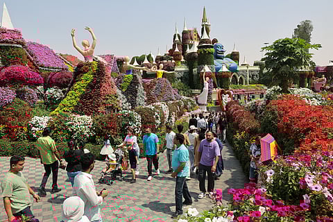 UAE residents throng the Dubai Miracle Garden as from March 15 to March 31, all residents can enter the garden for free by presenting a valid Emirates ID at the entrance.