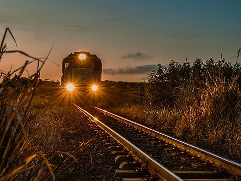 No passengers hurt as rare herd crosses tracks in protected area.