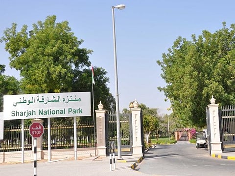 All city parks have been shut until conditions stabilise, with officials saying they will reopen once it is safe to do so.