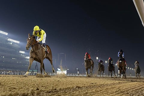 Dubai World Cup: Giants clash early in trackwork