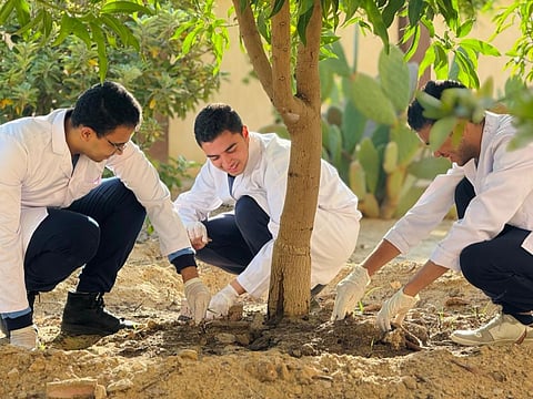 More projects funded as award shifts focus to scaling real-world impact.