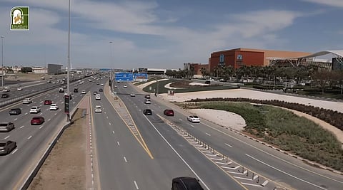 Sharjah Municipality teams restore normalcy after heavy rains, ensure smooth traffic flow