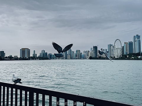 A calm, overcast day unfolds along Buheirah Corniche in Sharjah, captured by Karim Nashat.