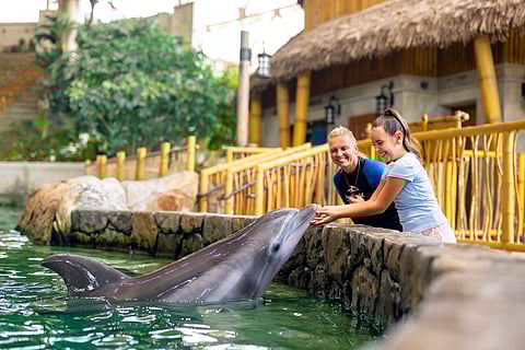 SeaBloom Celebration is running daily until 26 April