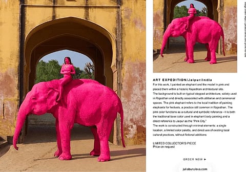 Chanchal, a 67-year-old female elephant who was painted pink for a shoot by Russian art photographer Julia Buruleva in Jaipur, died in February 2026