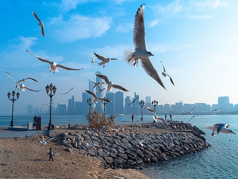 The UAE model combines defensive firmness, diplomacy, and economic resilience to absorb shocks and protect national sovereignty without being drawn into an uncalculated, full-scale confrontation.