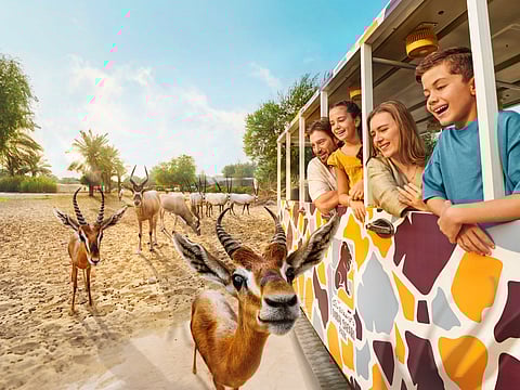 Membership gives park access to global conservation programmes and research networks.