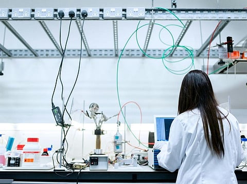 A stronger position in biodegradable plastics is emerging for P-Life Japan