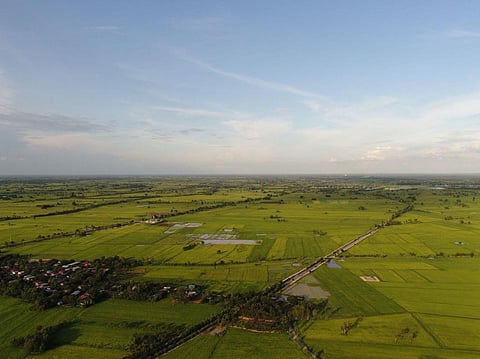 From desert silence to feeding nations