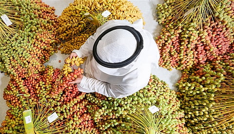 The UAE's biggest date festival returns with competitions, markets and cultural events.