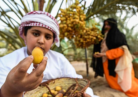 The Liwa Dates Festival attracted thousands of visitors while promoting local produce, traditional crafts and farming innovation.