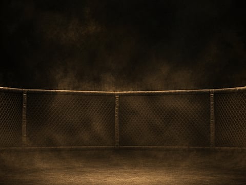 Citi Developers cecomes UFC’s official luxury real estate partner across EMEA
