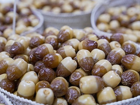Al Ain Rutab Festival aims to boost farmers, preserve agricultural traditions and showcase top-quality local produce.