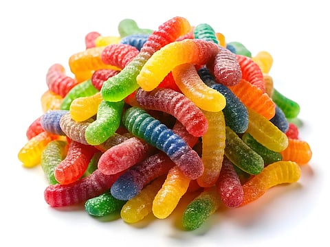 Dog eats 1.1 kilograms of gummy worms, ends up in emergency clinic