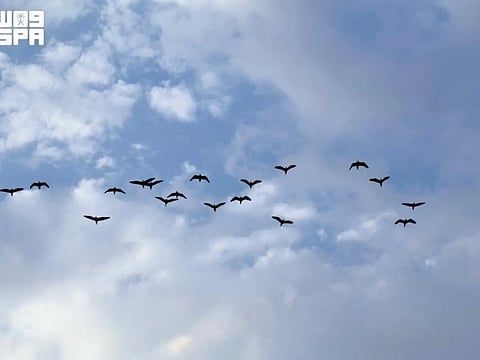 The autumn season runs through November, but its arrival does not mean an immediate end to high temperatures, according to Barjas Al Fulaih, a member of the AFAQ Society for Astronomy.