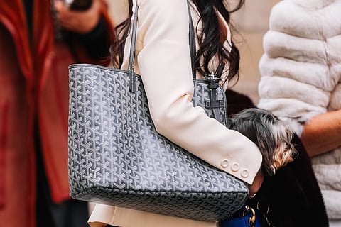 The school bag evolution: what UAE students carry now