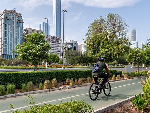From cycling tracks and shaded spaces to connected transport networks, the focus is on liveability.