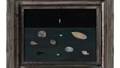 The work was Alderman Merriam’s Shells, painted in 1951 and unseen publicly for about 75 years.