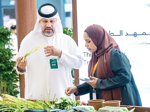 Abu Dhabi opens biggest-ever Global Food Week 2026