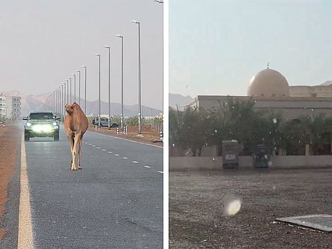 Rain and hail have been reported in parts of the UAE on Monday.