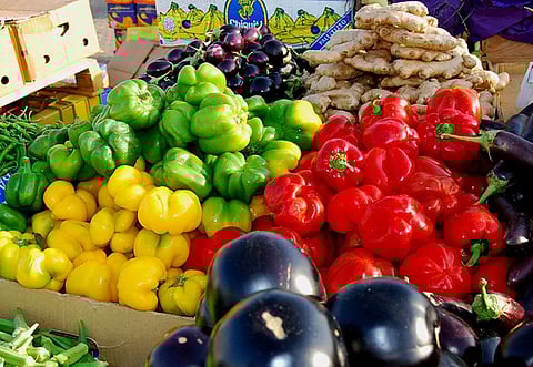 Jerry Sires/Gulf News Reader