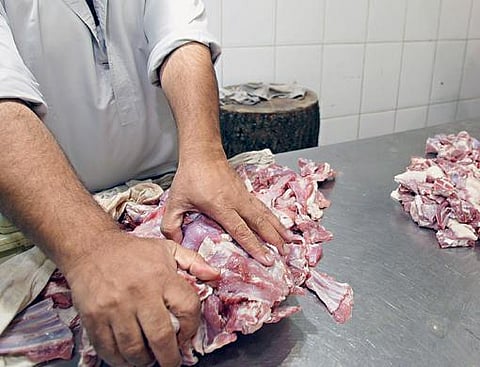 Megan Hirons/Gulf News