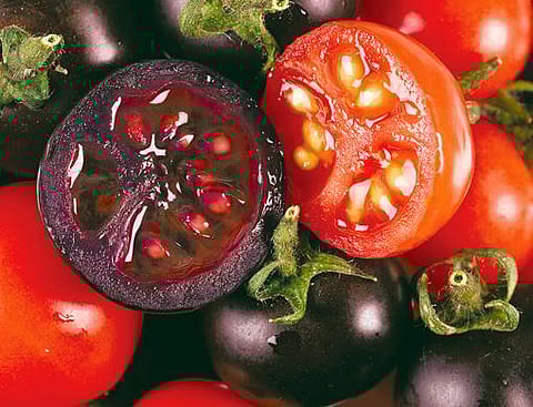 By Norwich Bioscience Institutes/The Washington Post